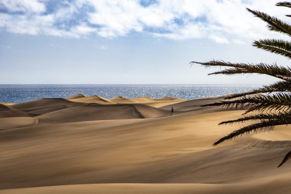 Sanddünen unter blauem Himmel mit Palmzweigen und Meer im Hintergrund.
