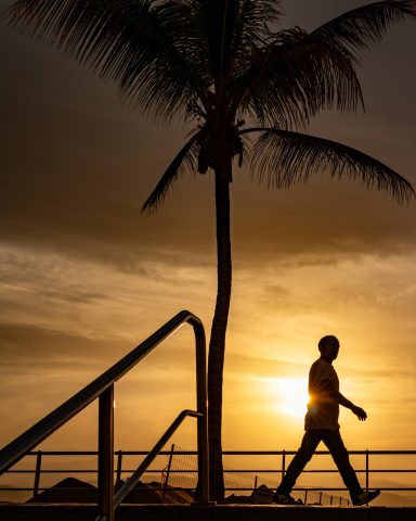Silhouette einer Person, die gegen den Sonnenuntergang unter einer Palme geht.